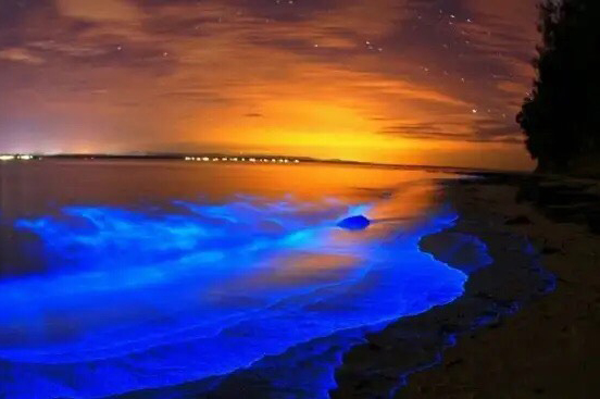 NIGHT KAYAKING WITH GLOWING PLANKTONS BIOLUMINESCENT