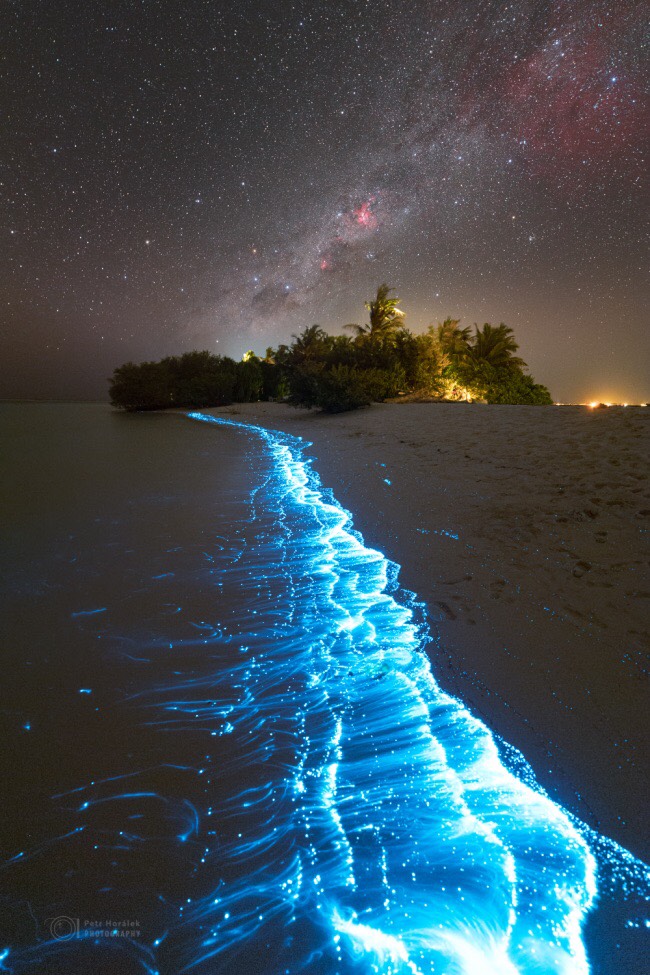 NIGHT KAYAKING WITH GLOWING PLANKTONS BIOLUMINESCENT