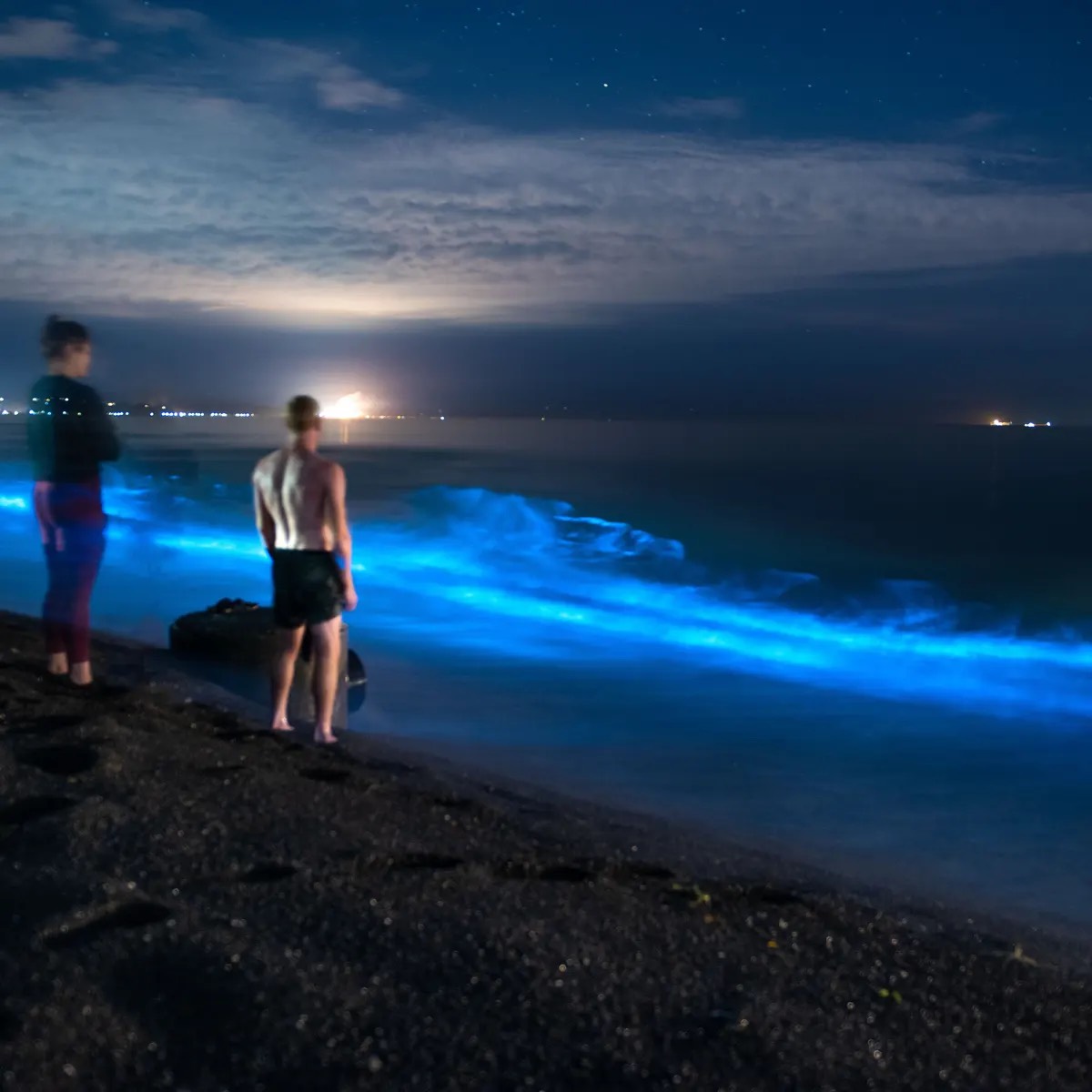 NIGHT KAYAKING WITH GLOWING PLANKTONS BIOLUMINESCENT